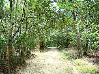 dsc04409_thumb.jpg