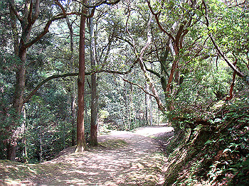 dsc04410_thumb.jpg