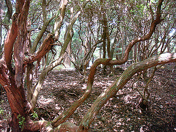 dsc04413_thumb.jpg