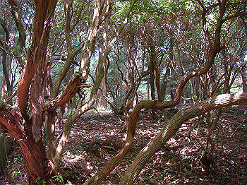 dsc04414_thumb.jpg