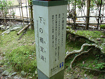 dsc04415_thumb.jpg