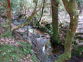 dsc04416_thumb.jpg