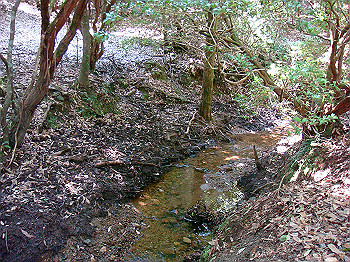 dsc04417_thumb.jpg
