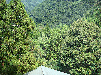 dsc04562_thumb.jpg
