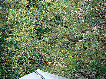 dsc04563_thumb.jpg
