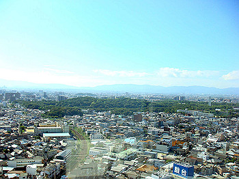 dsc04590_thumb.jpg