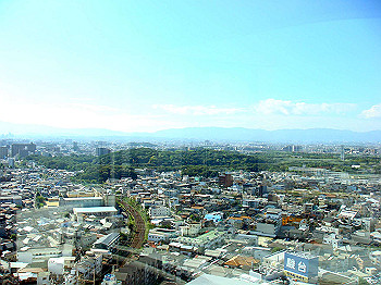 dsc04591_thumb.jpg