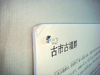 dsc04596_thumb.jpg