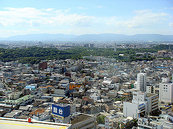 dsc04608_thumb.jpg