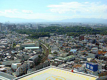 dsc04609_thumb.jpg