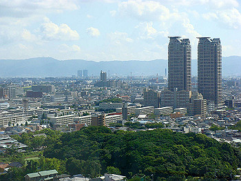 dsc04616_thumb.jpg