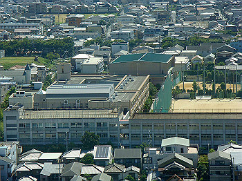dsc04618_thumb.jpg