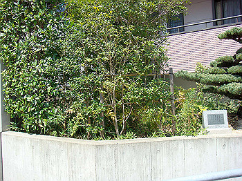 dsc04667_thumb.jpg