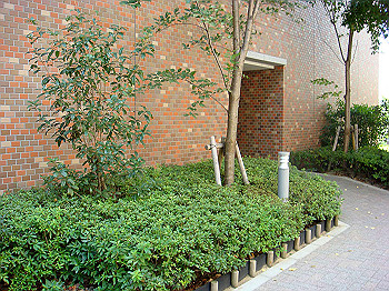 dsc04671_thumb.jpg