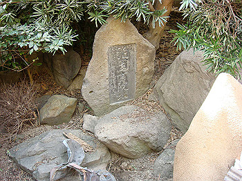 dsc04685_thumb.jpg