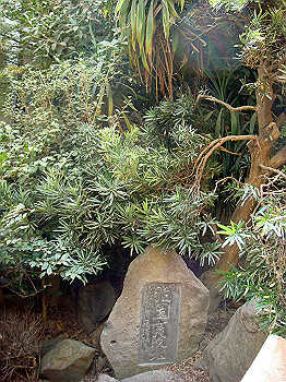 dsc04688_thumb.jpg