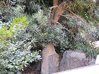 dsc04690_thumb.jpg