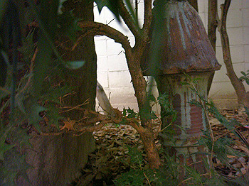 dsc04728_thumb.jpg