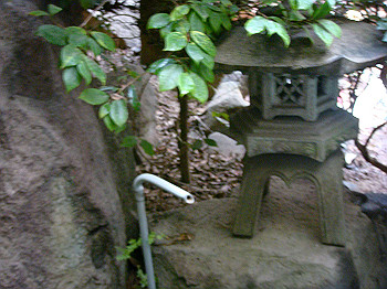dsc04729_thumb.jpg