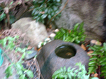 dsc04730_thumb.jpg