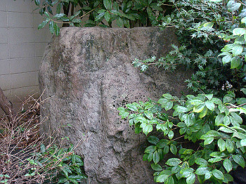 dsc04731_thumb.jpg