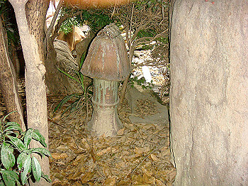 dsc04732_thumb.jpg