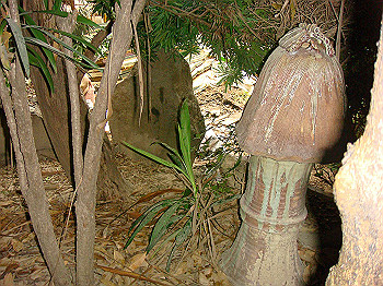 dsc04734_thumb.jpg