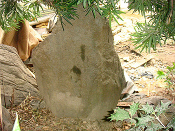 dsc04735_thumb.jpg