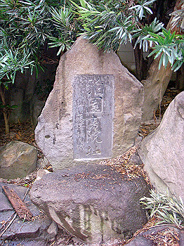 dsc04737_thumb.jpg
