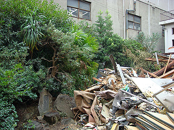 dsc04743_thumb.jpg
