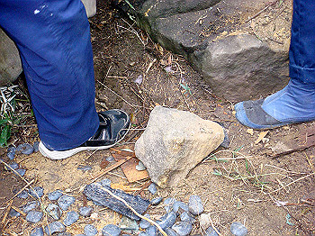 dsc04762_thumb.jpg