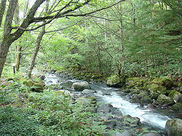 20100917035_thumb.jpg