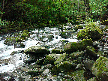 20100917038_thumb.jpg