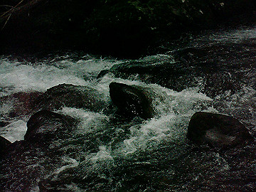 20100917039_thumb.jpg