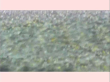 20100917126_thumb.jpg