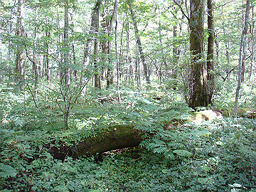 20100917148_thumb.jpg