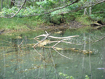 20100917218_thumb.jpg
