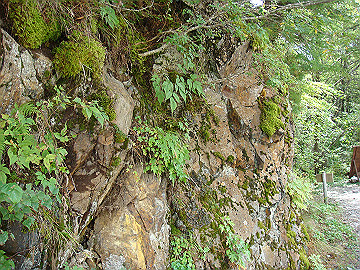 20100917232_thumb.jpg