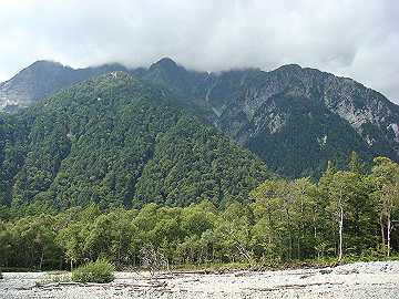 20100917236_thumb.jpg