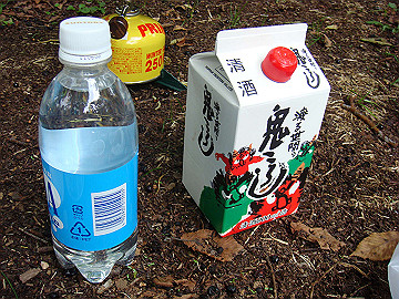 20100917260_thumb.jpg