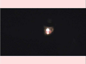 20100917268_thumb.jpg