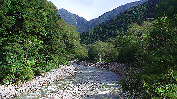20100917311_thumb.jpg