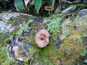 20100917318_thumb.jpg