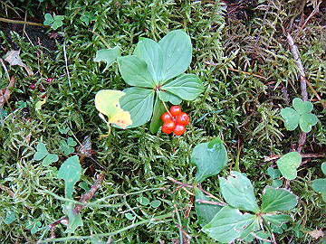 20100917319_thumb.jpg