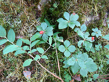 20100917320_thumb.jpg