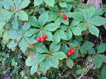 20100917321_thumb.jpg