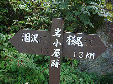 20100917325_thumb.jpg