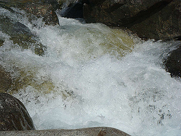 20100917355_thumb.jpg