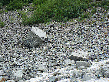 20100917431_thumb.jpg