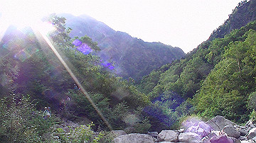 20100917454_thumb.jpg